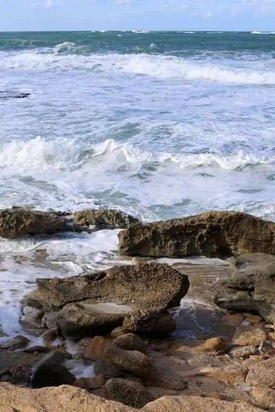 Pierres Coquillages Sur Les Rives Méditerranée Dans Nord Israël — Photo