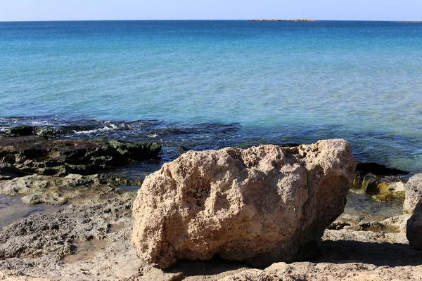 Камені Снарядів Березі Середземного Моря Північному Ізраїлі — стокове фото