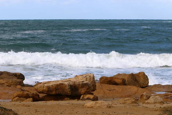 Piedras Conchas Las Orillas Del Mediterráneo Norte Israel —  Fotos de Stock