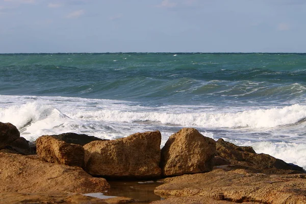 Piedras Conchas Las Orillas Del Mediterráneo Norte Israel — Foto de Stock