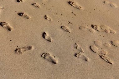Kumdaki Kuzey İsrail'Akdeniz kıyısında 