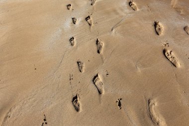 Kumdaki Kuzey İsrail'Akdeniz kıyısında 