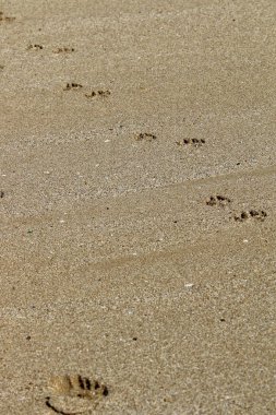 Kumdaki Kuzey İsrail'Akdeniz kıyısında 