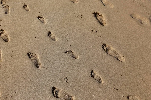 Kumdaki Kuzey İsrail'Akdeniz kıyısında 