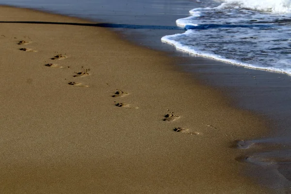 footprints in the sand on the shores of the Mediterranean in northern Israel