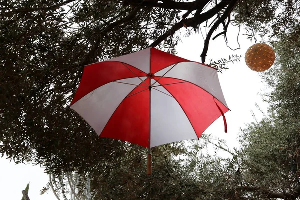Зонтик Устройство Предназначенное Защиты Людей Дождя Солнечного Света — стоковое фото