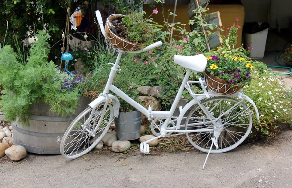 Fiets Wielen Voertuig Gang Gezet Door Menselijke Spier Kracht Voetpedalen — Stockfoto