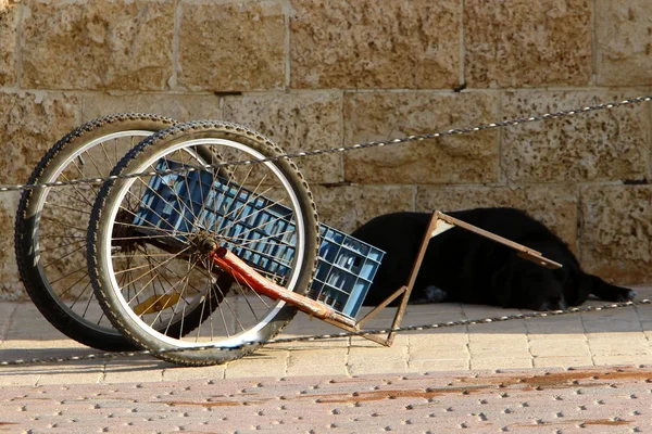 Cykel Hjulförsett Fordon Som Mänsklig Muskel Kraft Rörelse Genom Pedaler — Stockfoto