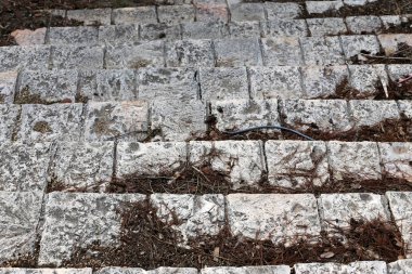 Merdiven - dikey iletişim sağlayan yapısı yapıcı unsuru. 