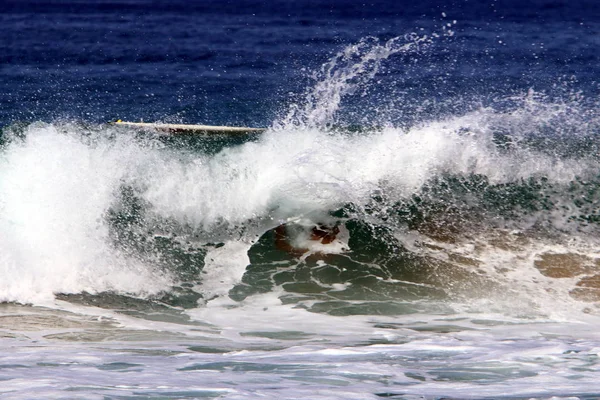 Surfing Ιππασίας Κύματα Της Μεσογείου Ειδικό Φως Πίνακες — Φωτογραφία Αρχείου