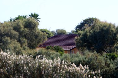 çatı - yağış karşı korumak için hizmet vermektedir binanın üst yapısı 