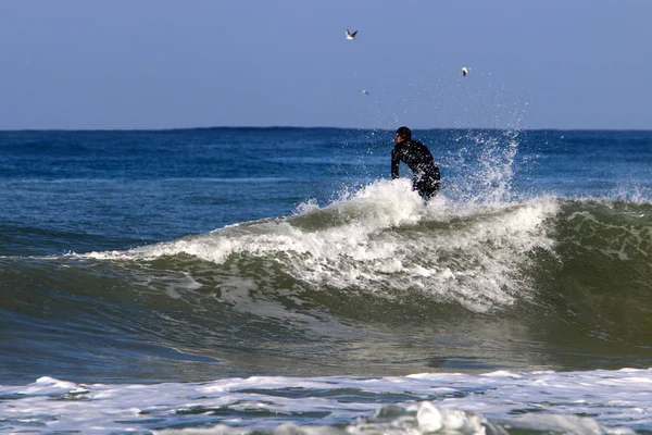 Surf Montar Las Olas Mediterráneo Tablas Ligeras Especiales — Foto de Stock