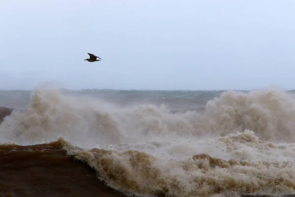 风暴和风在地中海在以色列北部 — 图库照片