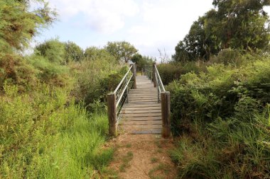 Köprü - yapay bir yapı inşa engel 