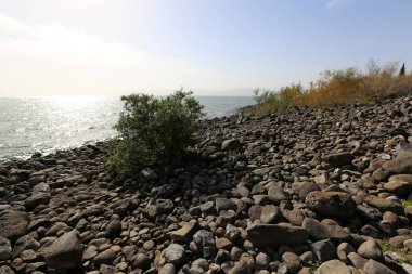 Gölü kıyısındaki Kinneret, Tiberias Gölü - kuzeydoğu İsrail bir tatlısu Gölü 