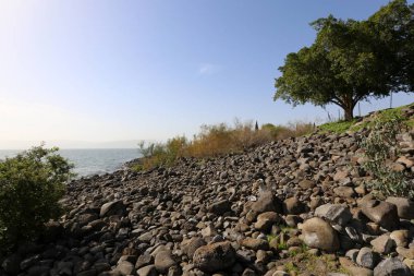 Gölü kıyısındaki Kinneret, Tiberias Gölü - kuzeydoğu İsrail bir tatlısu Gölü 