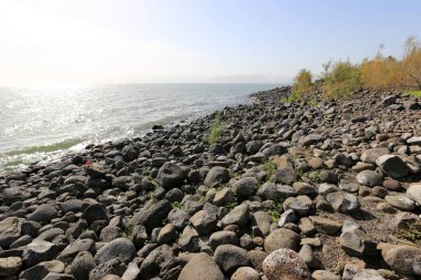 Gölü kıyısındaki Kinneret, Tiberias Gölü - kuzeydoğu İsrail bir tatlısu Gölü 