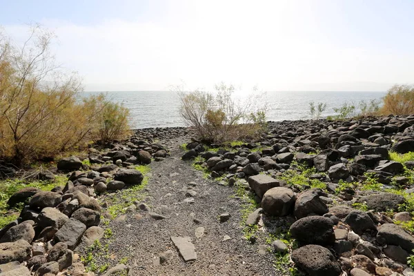 Gölü kıyısındaki Kinneret, Tiberias Gölü - kuzeydoğu İsrail bir tatlısu Gölü 