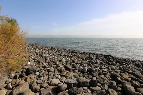 Gölü kıyısındaki Kinneret, Tiberias Gölü - kuzeydoğu İsrail bir tatlısu Gölü 