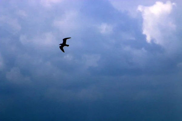 Type Color Sky Depends Time Day Season Main Weather — Stock Photo, Image