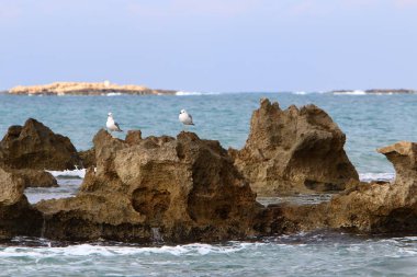 Akdeniz'de İsrail devletinin kuzey kıyısında 