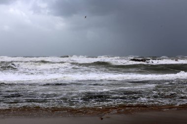 Akdeniz'de İsrail devletinin kuzey kıyısında 