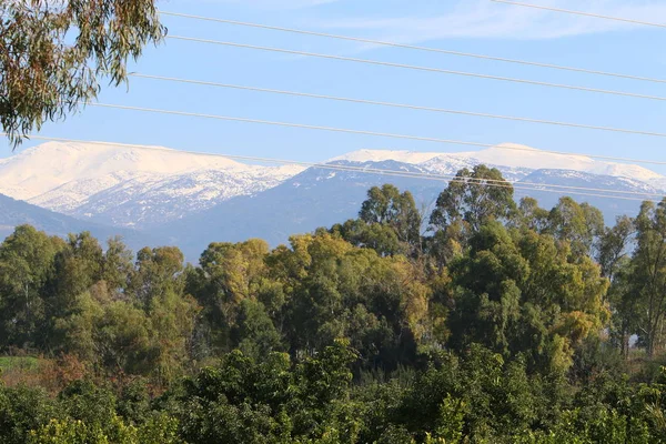 Monte Hermón Montaña Más Alta Israel Único Lugar Donde Puede — Foto de Stock