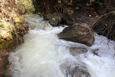 yağmur İsrail devletinin Kuzey Banias nehirde hızlı akış 