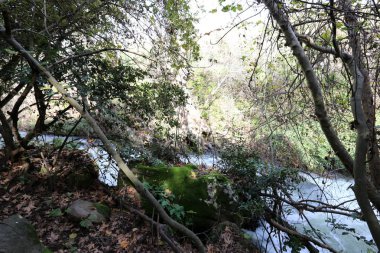 yağmur İsrail devletinin Kuzey Banias nehirde hızlı akış 