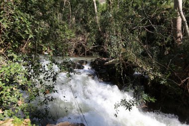 yağmur İsrail devletinin Kuzey Banias nehirde hızlı akış 