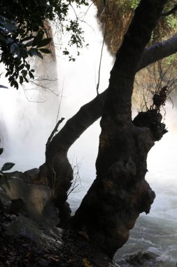 yağmur İsrail devletinin Kuzey Banias nehirde hızlı akış 