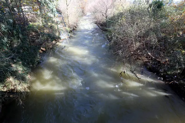 Rapido Flusso Acqua Piovana Nel Fiume Banias Nel Nord Dello — Foto Stock