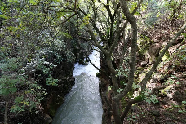 Yağmur Srail Devletinin Kuzey Banias Nehirde Hızlı Akış — Stok fotoğraf