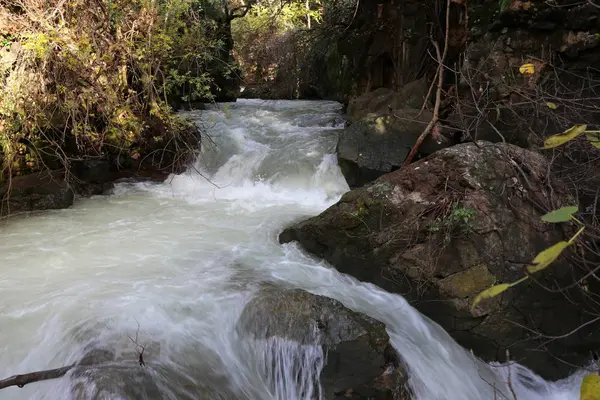 Yağmur Srail Devletinin Kuzey Banias Nehirde Hızlı Akış — Stok fotoğraf