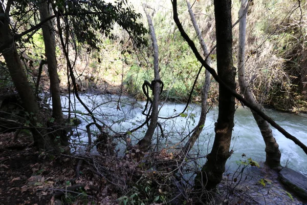 Rapido Flusso Acqua Piovana Nel Fiume Banias Nel Nord Dello — Foto Stock