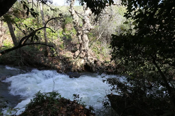北イスラエル共和国の州の Banias 川雨水の急速な流れ — ストック写真