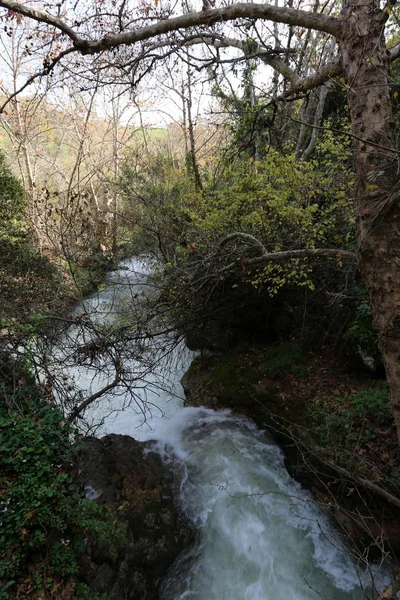 Yağmur Srail Devletinin Kuzey Banias Nehirde Hızlı Akış — Stok fotoğraf