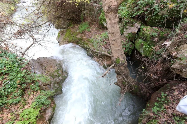 北イスラエル共和国の州の Banias 川雨水の急速な流れ — ストック写真