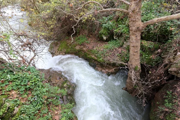 rapid flow of rainwater in the river Banias in the north of the state of Israel