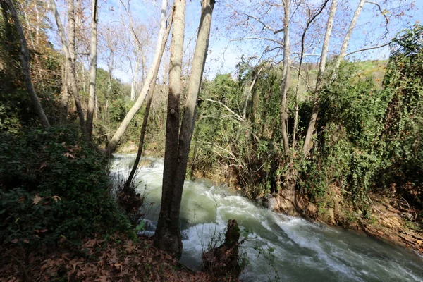 Rápido Flujo Agua Lluvia Río Banias Norte Del Estado Israel — Foto de Stock