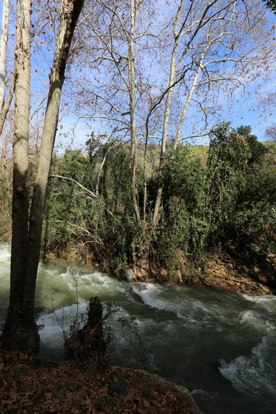 Rápido Flujo Agua Lluvia Río Banias Norte Del Estado Israel — Foto de Stock