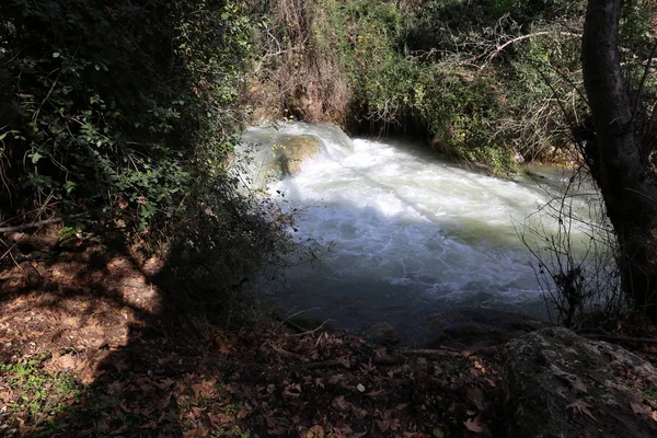 Rápido Flujo Agua Lluvia Río Banias Norte Del Estado Israel — Foto de Stock