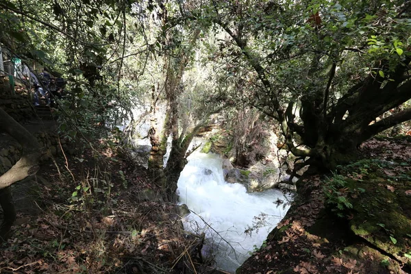 Rapido Flusso Acqua Piovana Nel Fiume Banias Nel Nord Dello — Foto Stock