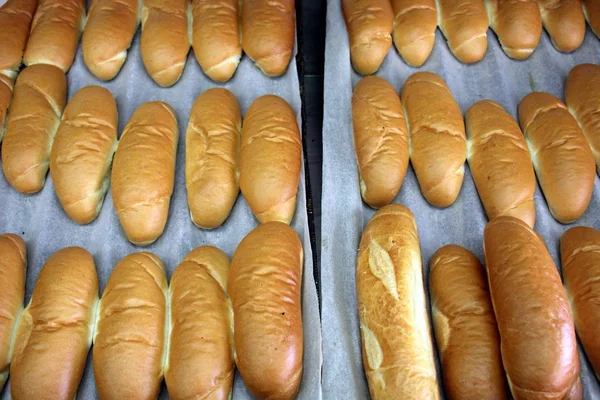 Ψωμιά Και Ψωμάκια — Φωτογραφία Αρχείου