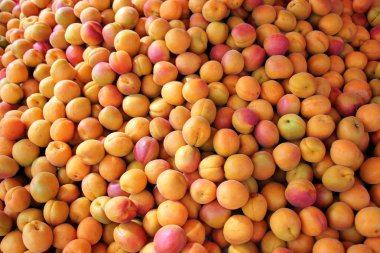 taze meyve ve çilek pazarda satılmaktadır 