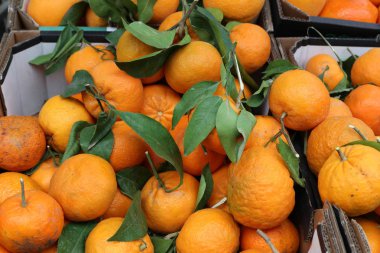 taze meyve ve çilek pazarda satılmaktadır 