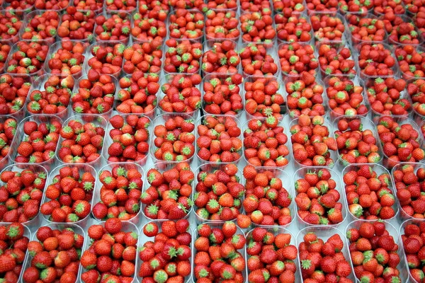 Frisches Obst Und Beeren Werden Auf Dem Markt Verkauft — Stockfoto