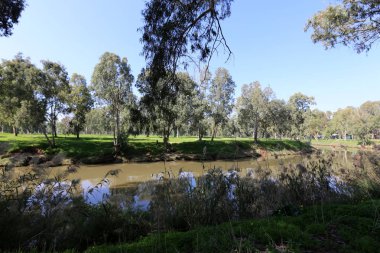 Tel Aviv'de Yarkon Nehri boyunca şehir parkı. 