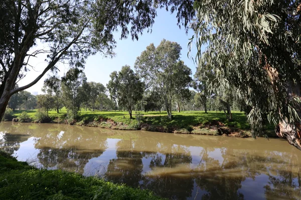 Tel Aviv'de Yarkon Nehri boyunca şehir parkı. 