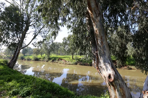 Tel Aviv'de Yarkon Nehri boyunca şehir parkı. 